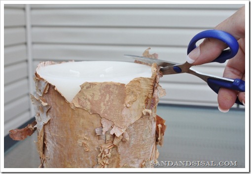 Trim excess bark (800x533)