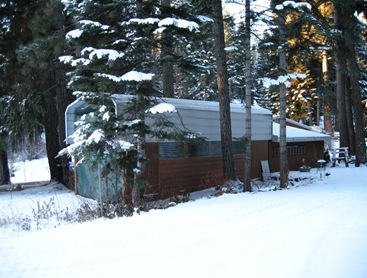 homeagain (9)