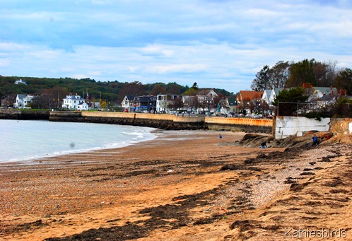 2. beach-kab