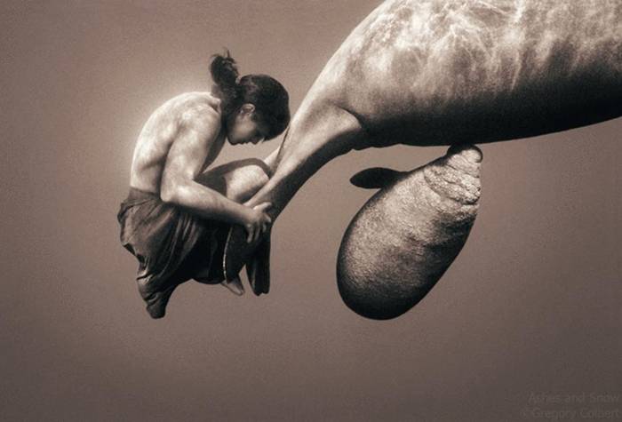 Canadian documentary photographer Gregory Colbert began his career working with the master of photography in Paris, where he was shooting a documentary on important social issues. That movie led by Gregory Colbert in the world of photography. His first solo show as a photographer, took place in 1992, when the wizard turned 32 years old. The exhibition was held at the gallery «Musee de l'Elysee». Gregory spent the next decade traveling, visiting Asia, Africa and even Antarctica. Everywhere keen photographer demonstrating the relationship of animals and humans. His most famous exhibition "Ashes and Snow" saw more than ten million people across the globe
