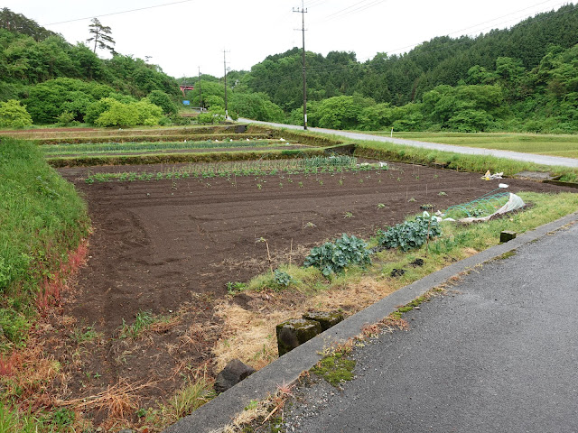 淀江どんぐり村から降ります