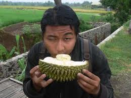 prohibido comer Durian