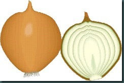 ONIONS