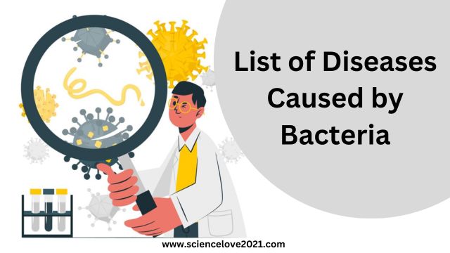 List of Diseases Caused by Bacteria | In Humans , Animals and Plants