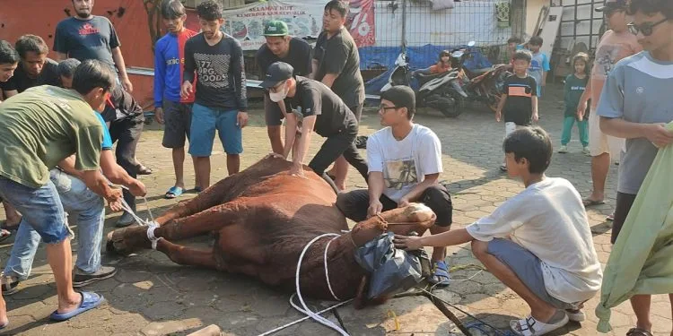 LDII Jakasampurna: Hewan Kurban Berkualitas dan Memenuhi Syarat Syariah