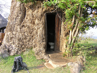 Pohon Baobab, Tampak Seperti Pohon Terbalik