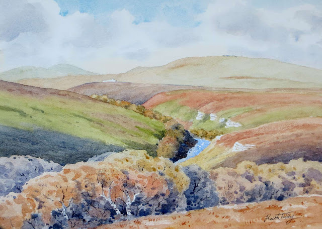 Watercolour painting of trees above a gorge in Caithness