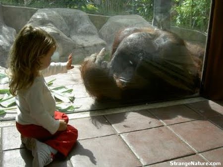 Poor girl! This monkey isn't being very nice , she is only waving at ...