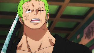 ワンピースアニメ 991話 ワノ国編 ロロノア・ゾロ ONE PIECE Roronoa Zoro