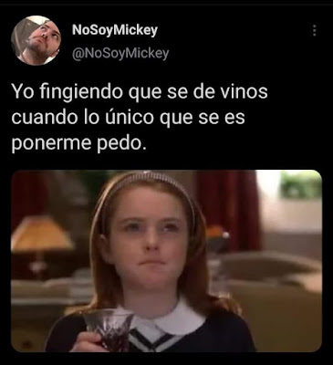 Fingiendo saber de vinos (Humor de Twitter)