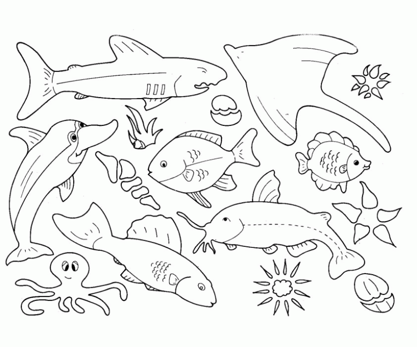 Kumpulan Sketsa Gambar Mewarnai Binatang Laut Untuk Anak 