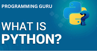 What is python?