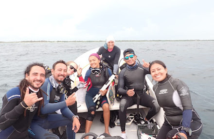 IBANQROO participa por primera vez en el monitoreo de los arrecifes de Mahahual y Parque Nacional de Xcalak