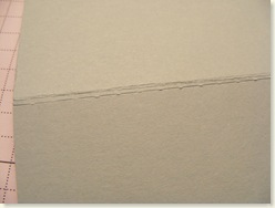 DSCF2420
