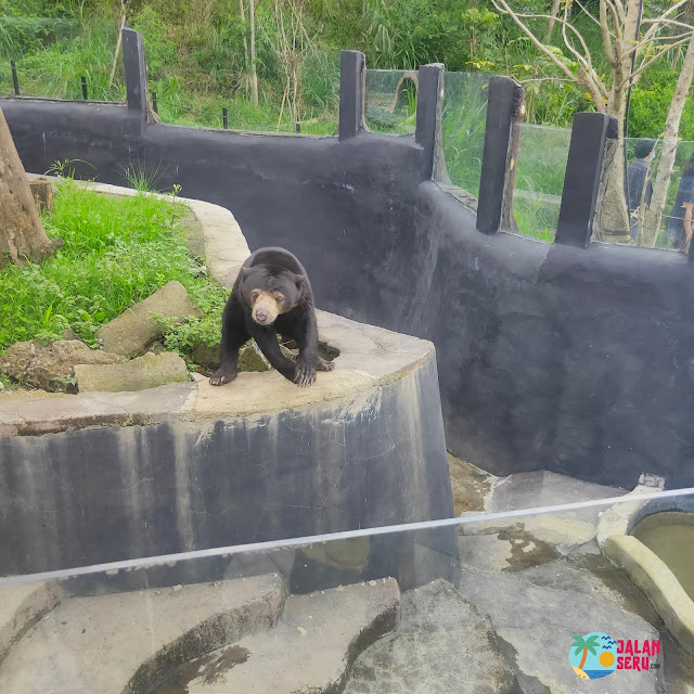 Lembang Park And Zoo Tempat Wisata Baru Di Bandung