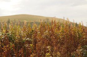 walking around Usk reservoir in Brecon Beacons National Park