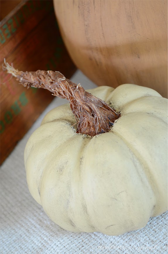 DIY Pumpkins with Realistic Looking Stems | www.andersonandgrant.com