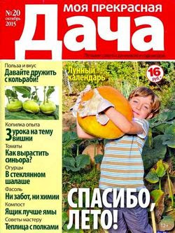 Читать онлайн журнал<br>Моя прекрасная дача №20 Октябрь 2015<br>или скачать журнал бесплатно
