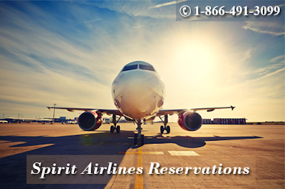 Spirit Airlines Reservations