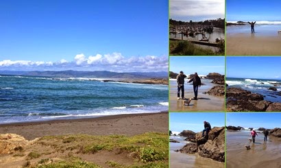 View album