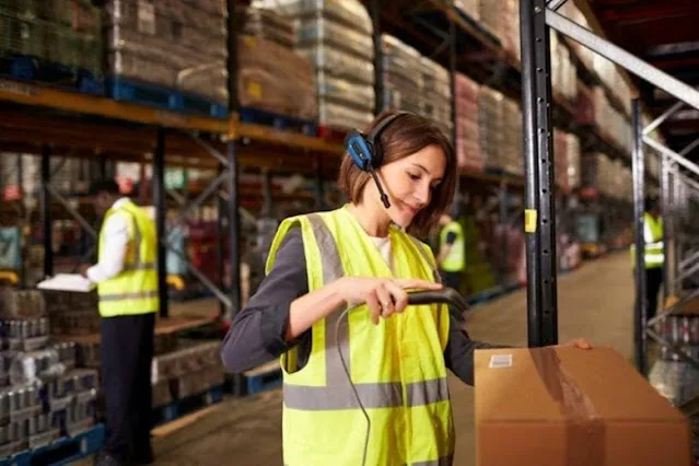 auxiliar de logistica sao jose dos pinhais