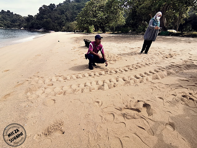 Tarikan Baru di Pulau Pangkor