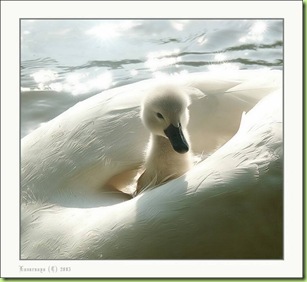 image00111