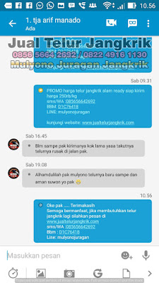 Testimoni 2 Jualan Telur Jangkrik Laris Pelanggan Bahagia