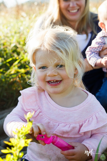 MJD Photography, Martha Duffy, Amey Brook Park, Henniker, NH, New Hampshire, Family, Portraits, Family Lifestyle Photographer