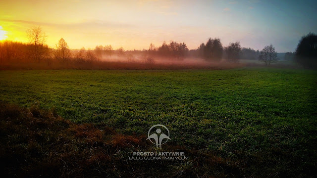 Wschód słońca - mgły nad polami