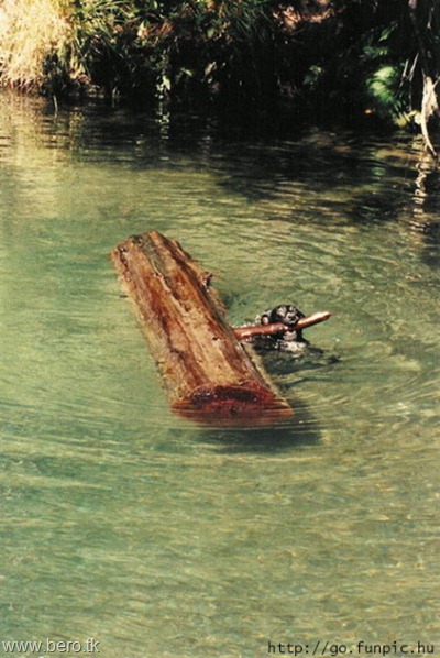 image016