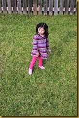 2014-11-26 Dec 6 003