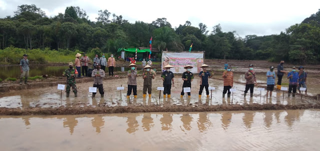 Tingkatkan Ketahanan Pangan Dimasa Pandemi, Aron: Optimalkan Sumber Daya Kita yang ada