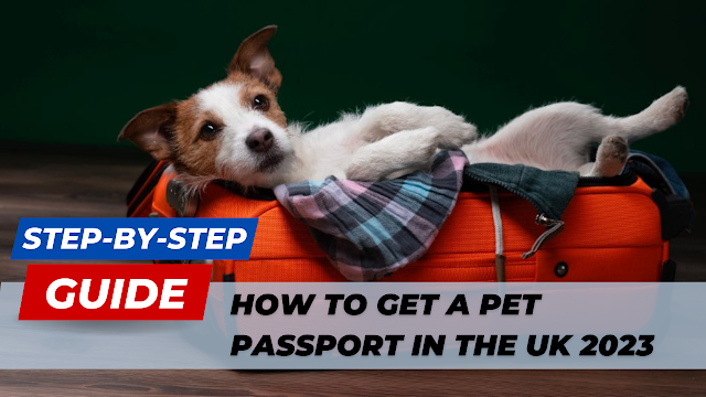 How to Get a Pet Passport in the UK 2023