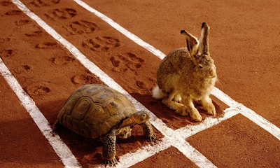 What appears to be a photo of the beginning of a two-lane, white-painted race track on terracotta, sandy soil. A tortoise is poised in one position, a hare in the other, both animals with their forefeet on the starting line. Behind each creature are their distinctive footprints in the sand. It's possible to interpret the positions of their heads as them eyeing each other. The quality of reddish light and the position of their long shadows further implies that this is sunset. Or possibly sunrise - I'm no expert!