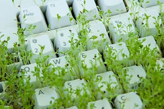 Geek your Lawn, Keyboard creativity can be used for the Spring Enough,KeyBoard on the Lawn,Embed a keyboard in the front lawn.