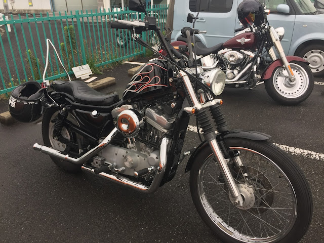 Harley-Davidson XL883C & FLSTF at プロペラカフェ