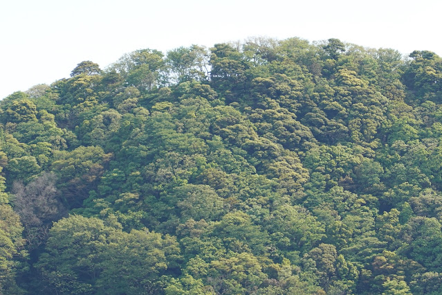 島根県松江市美保関町美保関 五本松公園からの眺望