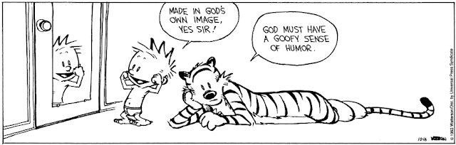 http://www.gocomics.com/calvinandhobbes/1993/10/16