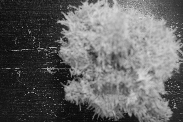 110223(110223-000012)