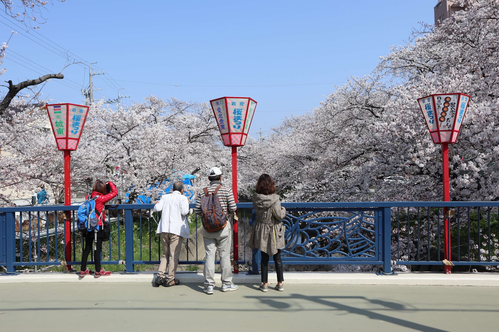 岩倉桜まつり5