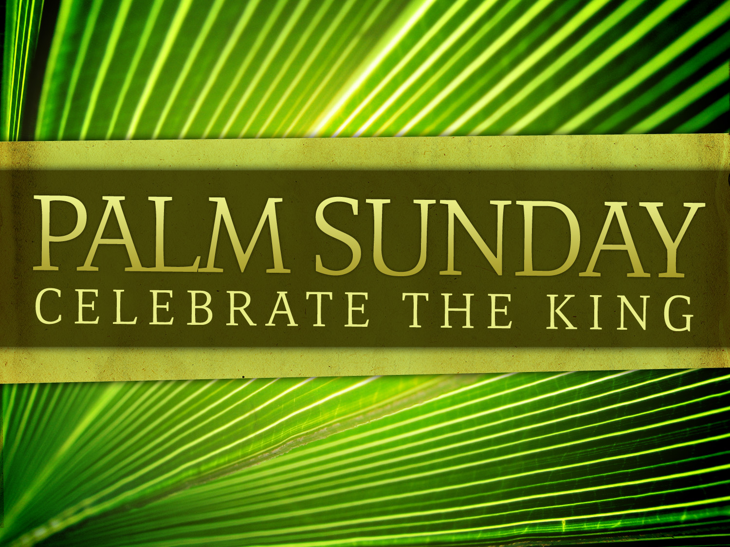 PicturesPool: Happy Palm Sunday Wallpaper