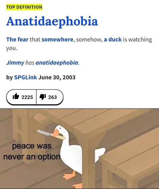 fear a duck is watching you meme - Top Definition Anatidaephobia The fear that somewhere, somehow, a duck is watching you. Jimmy has anatidaephobia. by SPGLink it 2225 4 263 peace was never an option