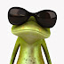 Frog Wearing Sunglasses wallpaper