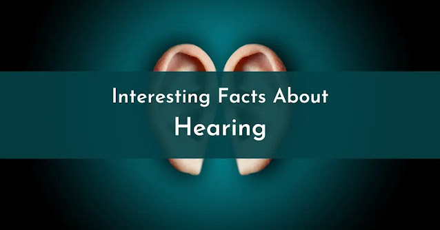 Uncover the intricacies of hearing and sound perception with these 25 fascinating facts. From the anatomy of the ear to the psychology of auditory perception, explore the science behind this essential sense.