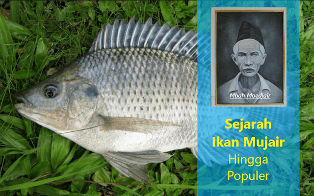 Sejarah Ikan Mujair