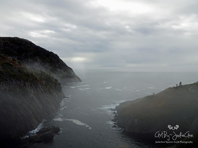 Nature Newfoundland