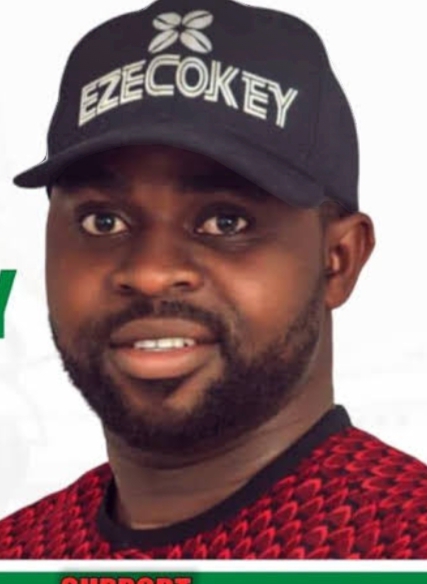 Strengthen your resolve, more cohesive, stronger PDP emerging - Cokey Nwachukwu 