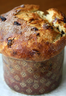 Panettone