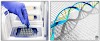 DNA Extraction